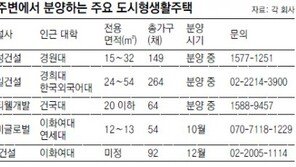 도시형생활주택, 대학가를 노려라