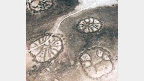 사막위의 지름 70m 바퀴 문양… ‘중동판 나스카 라인’ 발견