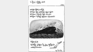 [386c]<2902>날지 않는 새