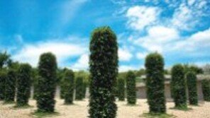 [수도권]가을이 노니는 그 섬, 선유도를 즐기는 3가지 팁