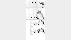 [바둑]제55회 국수전…흑 27, 당연한 협공