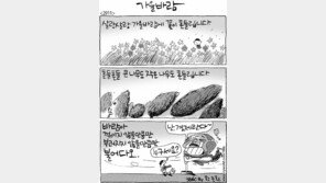 [386c]<2911>가을바람