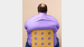 [지구촌 이모저모]덴마크 “살찌려면 세금 더 내라”… 지방 1kg에 3430원 ‘비만세’ 부과