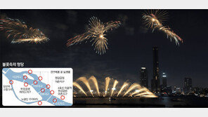 [수도권]‘꿈나무마을’에 불꽃축제 초대장이 날아왔어요