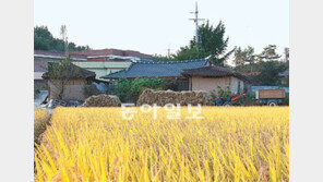 [박원순 무소속 후보 검증 리포트]朴 “내 꿈은 과로사”… “일처리 독단적” 평가도