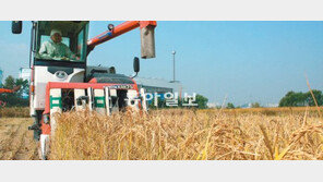 [수도권]“나는 서울 농부다”… 4129가구 940ha 경작