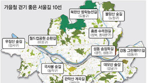 [수도권]지하철 타고 가을 걷기여행 떠나볼까