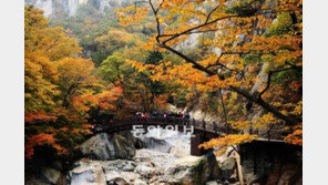 [헬스&뷰티]단풍도 좋지만 안전산행이 더 좋다