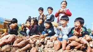[수도권]“사랑이 가득 담긴 고구마예요”