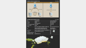 [Money&Life]원금 보장받고 상조서비스 걱정없고… 상조보험이 있었네! 