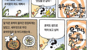 [O2/아빠의 주말요리]쉬워서 더 맛있는 호박고추장찌개