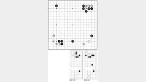 [바둑]제55회 국수전… 신구 영웅의 대결