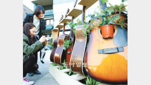 [수도권]기타 속에 채소가 무럭무럭