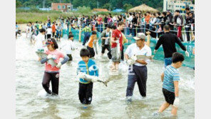[강원][충북]주말, 떠나요/여섯 색깔 가을 낭만이 당신을 기다립니다