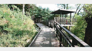 [수도권]“휠체어-유모차로 북한산 산책을”