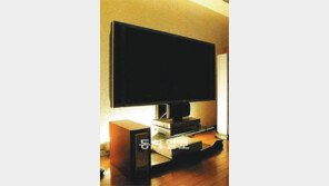 [헬스&뷰티/우리 Eye 1.0 지키기]편안한 빛, 또렷한 시력… 조명, 고품격 시대로