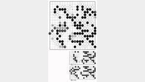 [바둑]제55회 국수전…막을 수 없는 중원