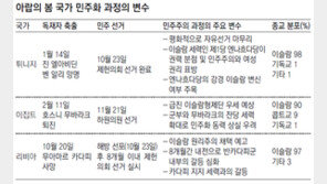 ‘아랍의 봄’ 선도 튀니지, 민주주의 첫발