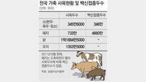 가축 996만 마리 몰살된 지난 겨울의 악몽… 올해는 어떨까