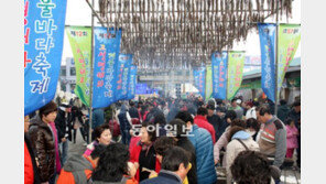 [강원]주말 떠나요! 고성 거진항서 30일까지 ‘명태 축제’