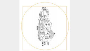 [인문사회]오장육부… 몸속의 마법상자를 열다