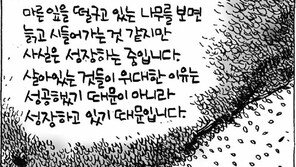 [386c]<2936>늙은 나무도 자란다