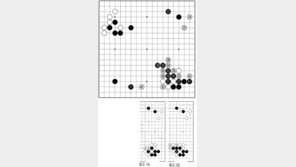 [바둑]제55회 국수전… 백을 양분하긴 했으나…