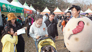 [강원]강원은 축제 중…‘감자’ 지사님