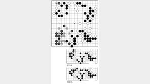 [바둑]제55회 국수전… 허를 찌르는 수, 백 102