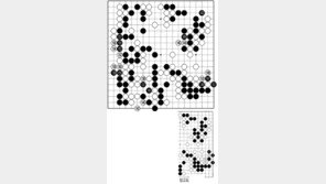 [바둑]제55회 국수전… 백 대마는 살아가고…