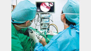 [헬스&뷰티]무릎연골 손상되면 ‘뚜둑’ 소리나고 아파… 이식술로 관절염까지 예방