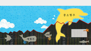 [Money&Life]탄탄한 중소형주 ‘불안파도’ 위로 펄떡 뛰다