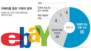 [DBR 스페셜]‘코리안 셀러’에 온라인 수출 길 터주다