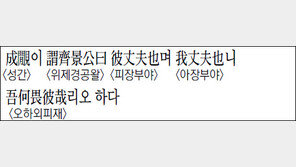 [한자 이야기]<1290>성간이 謂齊景公曰彼丈夫也며 我丈夫也니 吾何畏彼哉리오 하다