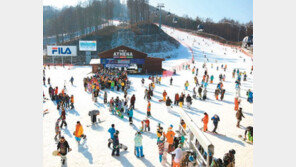 [강원]“하얀 겨울이 좋아요”