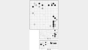 [바둑]제55회 국수전… 빛나는 백 24, 26