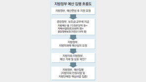 [2012 민주주의 대공황을 넘자]<3> 한국 정치 뭐가 문제기에?- 철없는 열여섯살 지방자치제