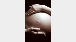 [헬스&뷰티]임신은 부부가 함께 준비…父-사우나 피하고 母-몸 따뜻하게