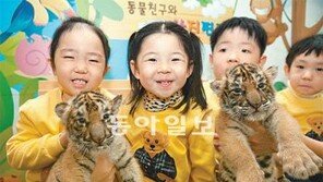 [수도권]“아기호랑이 해님-달님 재롱 보러오세요”