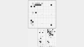 [바둑]제55회 국수전… 복고풍의 초반