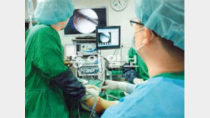 [헬스&뷰티]나이 들면 사라지는 ‘연골’… 혈소판 풍부 혈장주사로 연골 지킨다