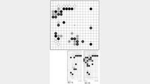 [바둑]제55회 국수전… 공중전의 시작