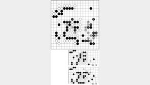[바둑]제55회 국수전… 공격의 즐거움