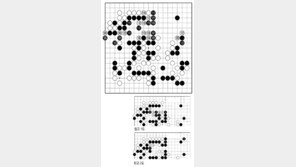 [바둑]제55회 국수전… 백 98, 노림수의 시작