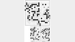[바둑]제55회 국수전… 요동치는 국면 