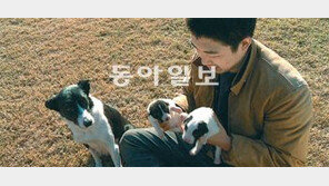 [오늘의 채널A]보더콜리 환불?… “그럼, 양몰이 하지마!”