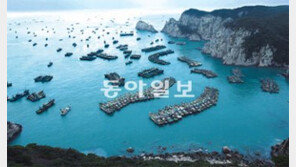 [광주/전남]헉! 이게 다 중국어선?