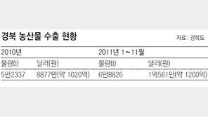 [대구/경북]농산물 수출로 한미FTA 파고 넘는다
