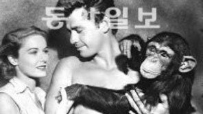영화 타잔 출연 침팬지 ‘치타’ 80세로 숨져