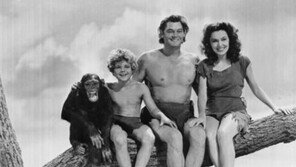 타잔의 영원한 친구 ‘치타’ 80세 나이로 사망… “그립다!”